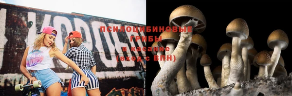 хмурый Няндома