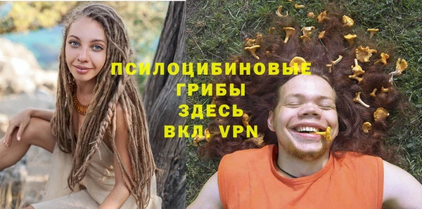 хмурый Няндома