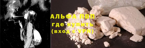 хмурый Няндома