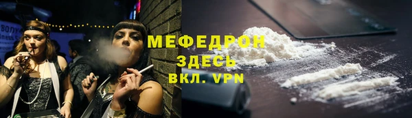 хмурый Няндома
