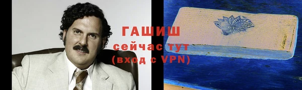 хмурый Няндома