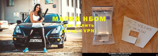 хмурый Няндома
