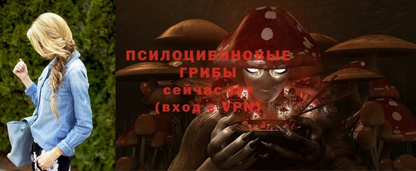 гидропоника Нягань