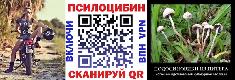 Галлюциногенные грибы Psilocybine cubensis Ступино